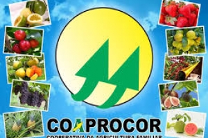 Coaprocor